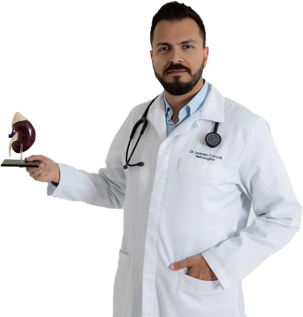 Dr. Leandro Cancelli apresentando um modelo anatômico do rim
